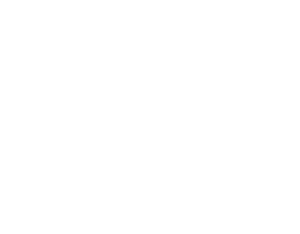 Ubora Institute